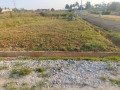 site-sale-im-nelamangala-hosur-bengalore-small-3