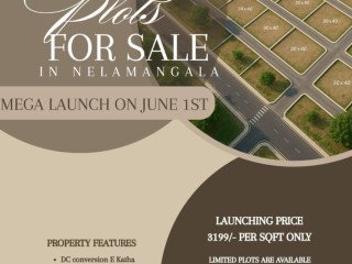 site-sale-im-nelamangala-hosur-bengalore