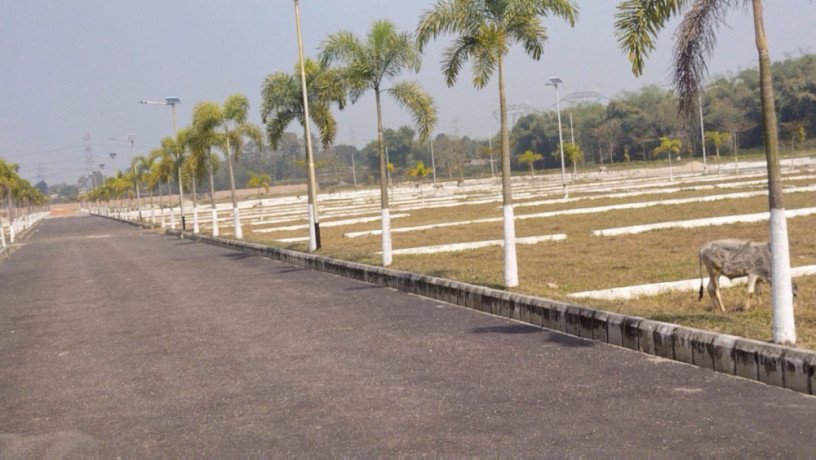 prime-residential-plot-near-bagdograsiliguri-big-1